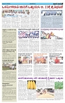 ePaper Page No  (3)